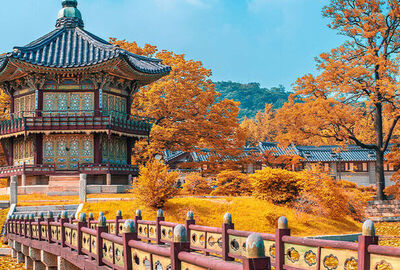 Dolu Dolu Sakura Dönemi Özel Japonya & Kore Turu Mistik Rotalar V3