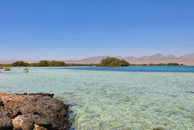 ANKARA’DAN SHARM EL SHEIKH & KAHİRE TURU Air Cairo Havayolları Özel Seferi ile 3 gece