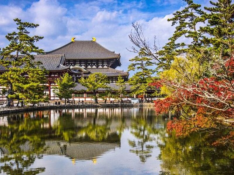 Dolu Dolu Japonya Turu Rotası