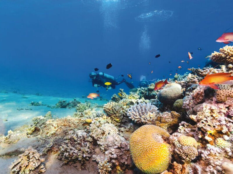 MAXI HER ŞEY DAHİL  SHARM EL SHEIKH TURU Pegasus Havayolları ile 4 gece 18 MART 2026 RAMAZAN BAYRAMI ÖZEL