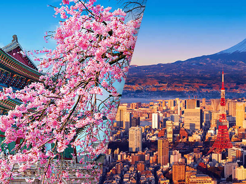 Dolu Dolu Sakura Dönemi Özel Japonya & Kore Turu Mistik Rotalar