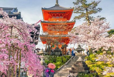 Dolu Dolu Sakura Dönemi Özel Japonya & Kore Turu Mistik Rotalar V2