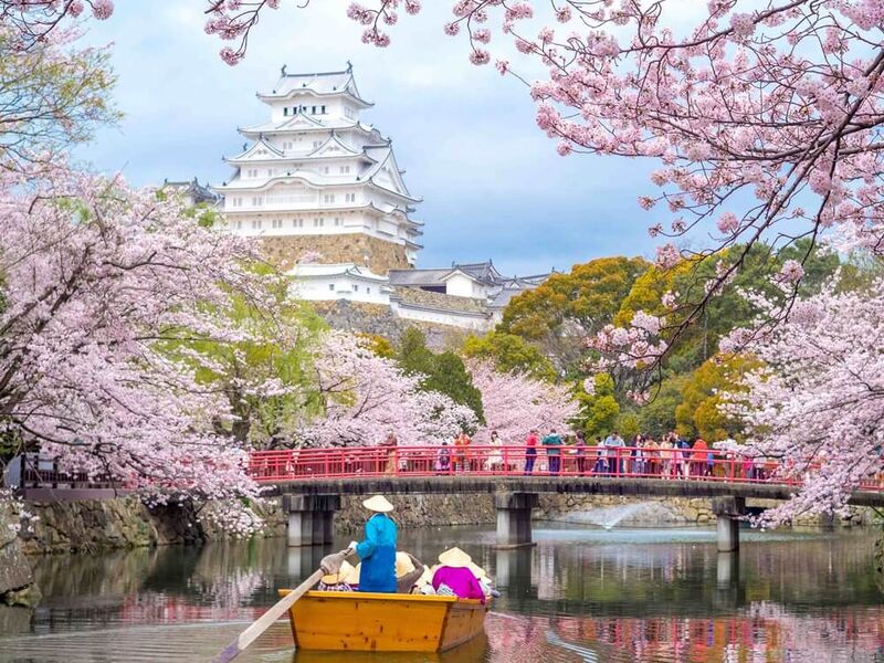 Dolu Dolu Sakura Dönemi Özel Japonya & Kore Turu Mistik Rotalar V3