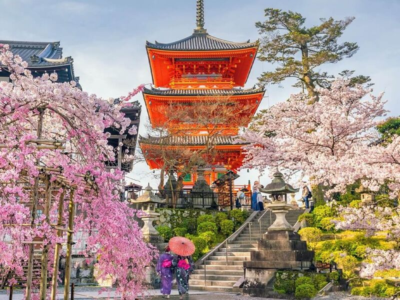 Dolu Dolu Sakura Dönemi Özel Japonya & Kore Turu Mistik Rotalar V3