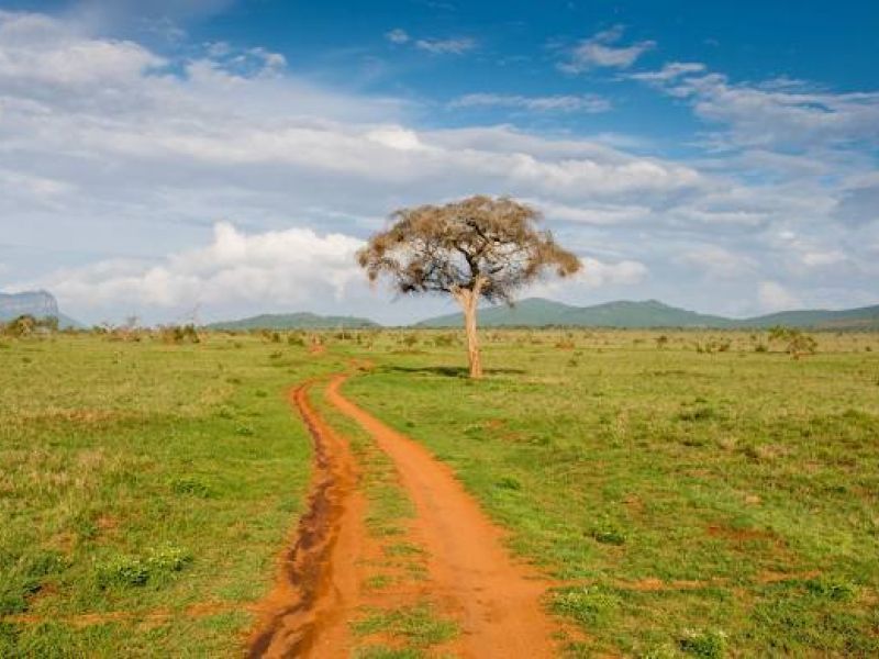 ELEGANT KENYA & TANZANYA BÜYÜK GÖÇ - 9 Gece - Thy (NBO-ZNZ)