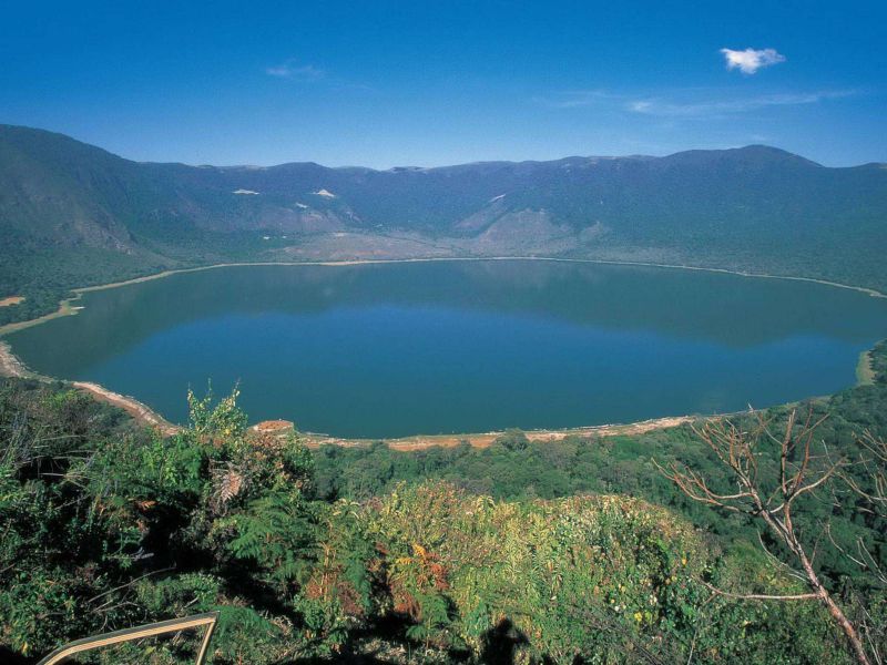 ELEGANT KENYA & TANZANYA BÜYÜK GÖÇ - 9 Gece - Thy (NBO-ZNZ)