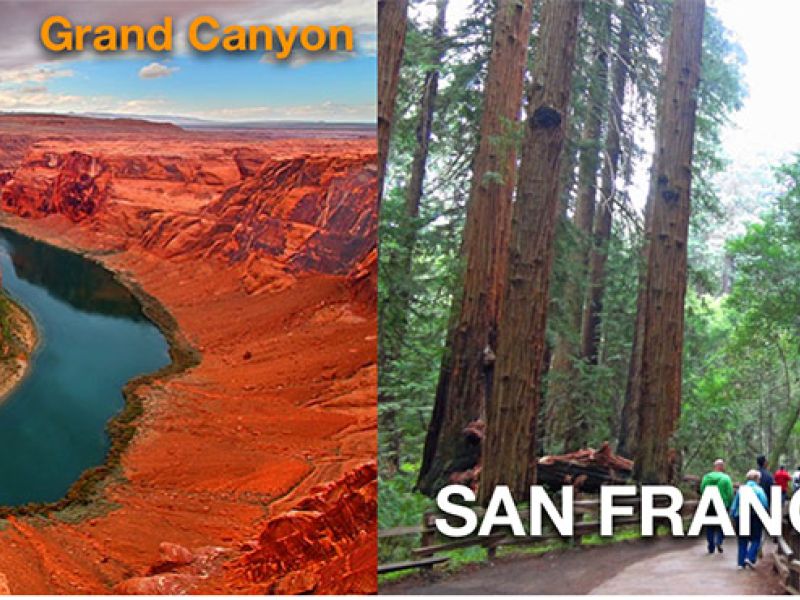 DÜNYA KUPASI ÖZEL DOĞU VE BATI AMERİKA TURU - 2 MAÇ İÇİN BİLET DAHİL TÜRK HAVA YOLLARI İLE 11 GECE