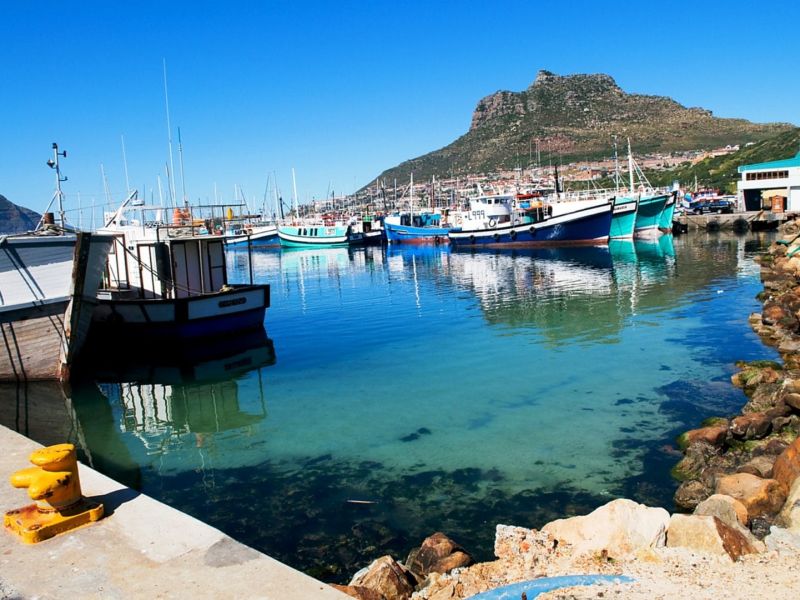 ELEGANT GÜNEY AFRİKA Türk Hava Yolları ile 7 Gece (CPT-JNB)