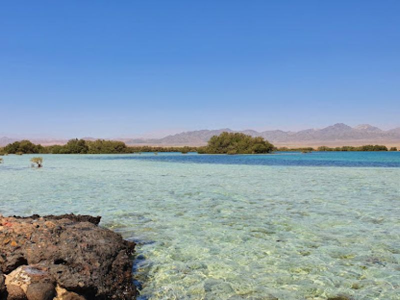 THY ile İstanbul'dan Sharm El Sheikh Turu 5 Gece (369)