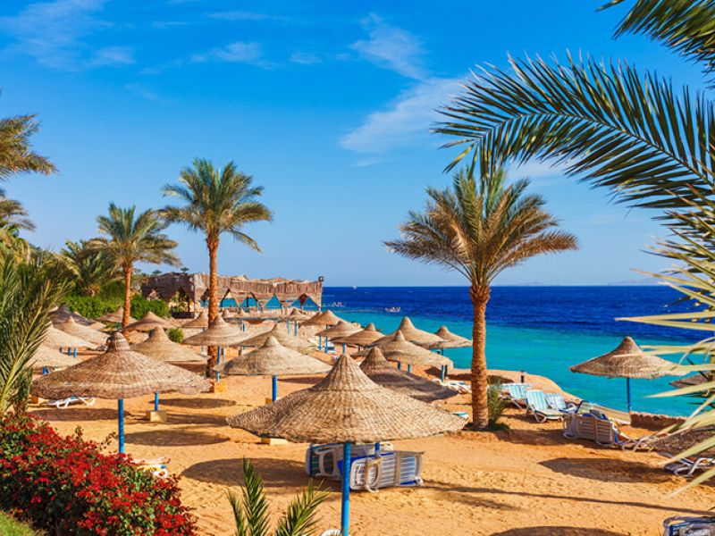 SHARM EL SHEIKH & KAHİRE TURU PEGASUS HAVA YOLLARI İLE 4 GECE