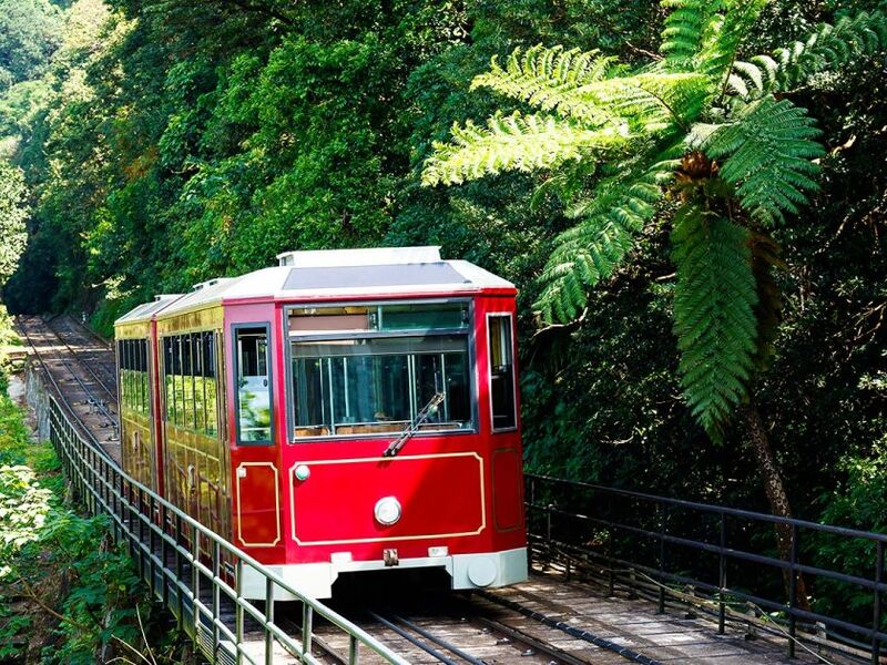 Singapur & Macao & Hong Kong Turu Rotası