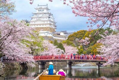 Dolu Dolu Sakura Dönemi Özel Japonya & Kore Turu Mistik Rotalar